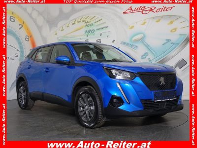 Peugeot 2008 BlueHDi 110 Active Pack *LED, NAVI, SITZHEIZUNG, TEMPOMAT, RFK + PDC* bei BM || Auto Reiter in 